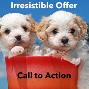 Irresistible Offer